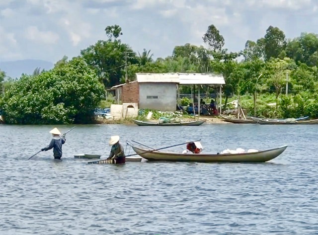 &quot;Bi kip&quot; bat don - dac san khoai khau cua nguoi Quang Ngai-Hinh-6