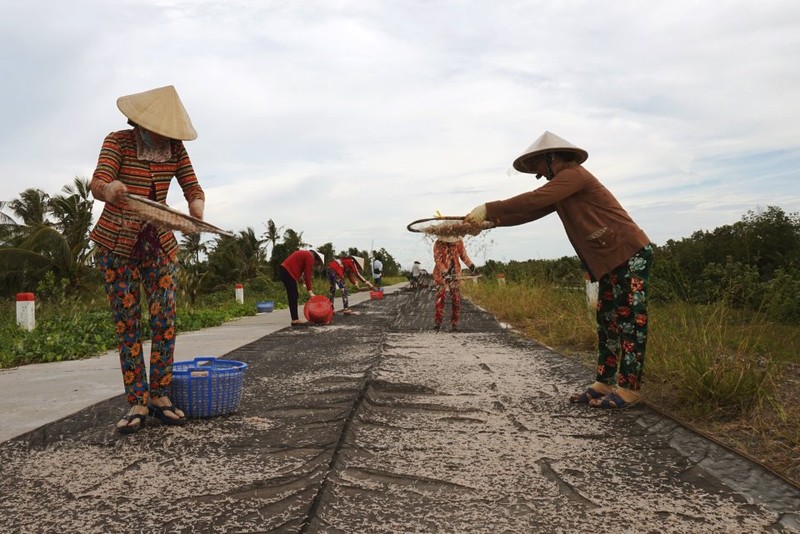 Dan bien Ca Mau tranh thu kiem bon tien, nho nghe day te bat ruoc