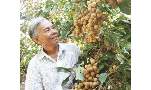 "Ep" cay ra qua theo y muon, khong kheo se thiet hai nang