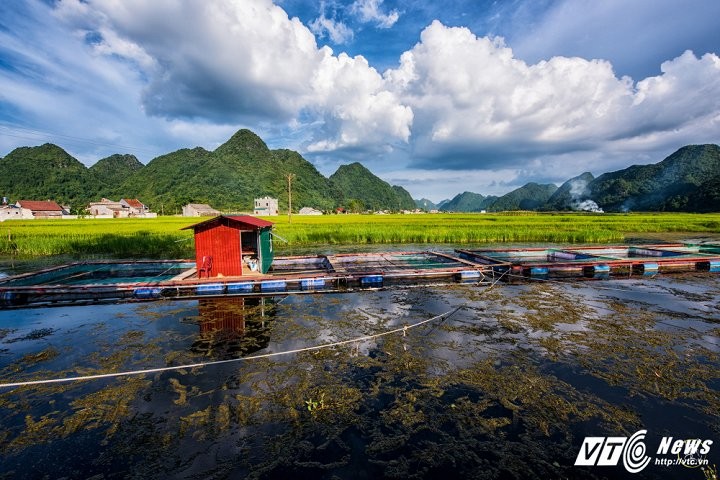 Thung lung Bac Son dep ngo ngang mua lua chin-Hinh-9