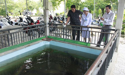 Kho tin, nuoi ca trong be nuoc thai cua benh vien