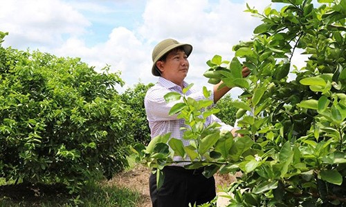 Chuyen nguoi “vat chanh khong bo vo”