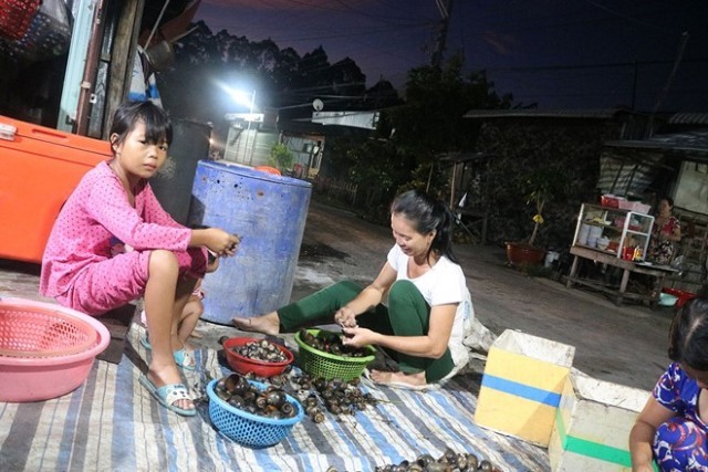 Vao mua, nguoi gia tre nho thi nhau le oc thue kiem tien tram/ngay-Hinh-3