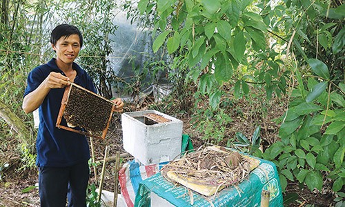 La ma hay: Du ong vo thung xop-kieu lay mat re nhat "qua dat"