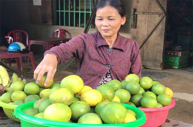 Doc dao trai huong vi ngon kho cuong chuan sach 100%-Hinh-4