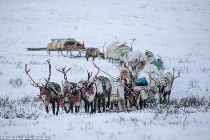 Cuoc song trong cai lanh thau xuong cua nguoi Nenets o Siberia-Hinh-5