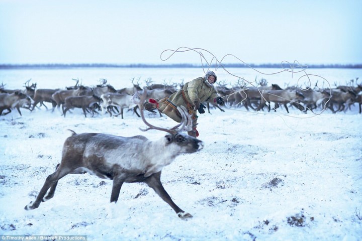 Cuoc song trong cai lanh thau xuong cua nguoi Nenets o Siberia-Hinh-6