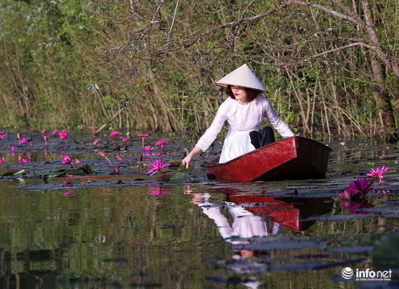 Khong duoc mua, hoa sung van khien Suoi Yen dep mong mo-Hinh-4