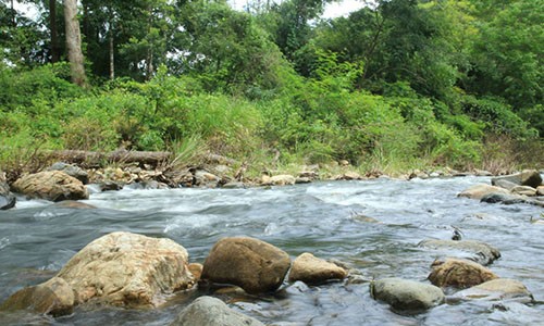 Nu phuot thu tu vong vi lu cuon khi xuyen rung Ta Nang - Phan Dung