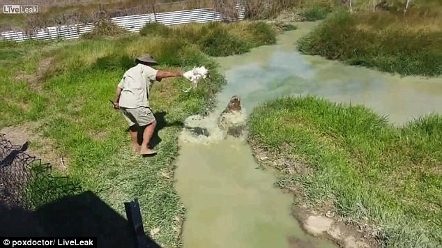 Dap vao nuoc lang nhu guong, khong ngo "quai vat" khong lo lao len