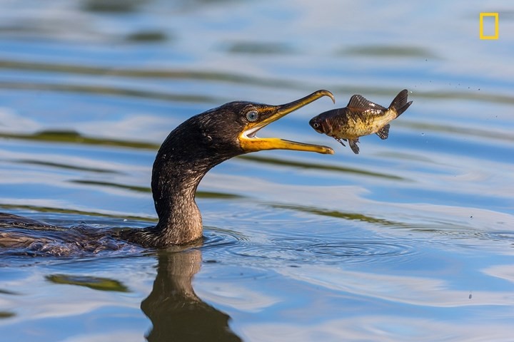 Chiem nguong thien nhien dep me hon qua anh National Geographic-Hinh-9