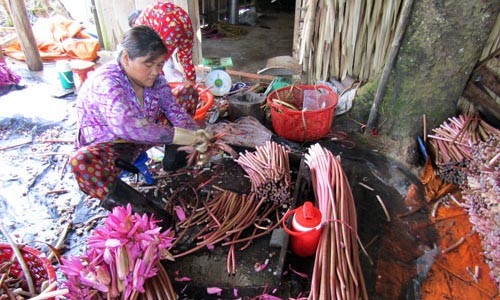 Bong sung xu nay dep ruc ro, mui vi thom ngon, ba con thu nhap kha