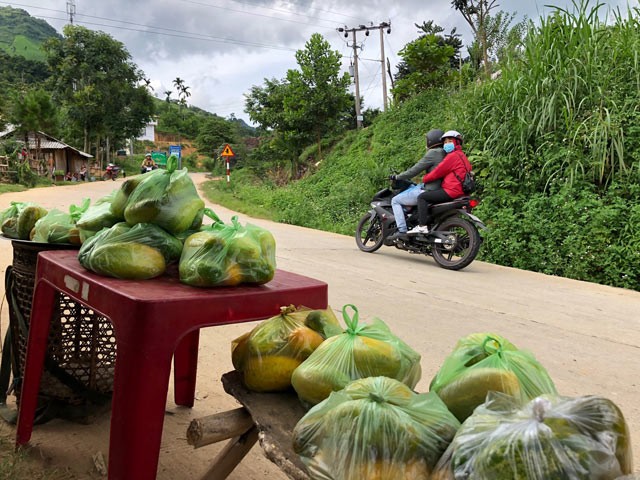 Dua rung la hoac o Quang Ngai pho mac cho troi thu ve tien trieu-Hinh-3