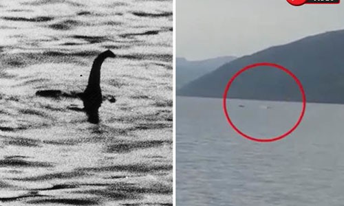 Quai vat ho Loch Ness mot lan nua tai xuat?