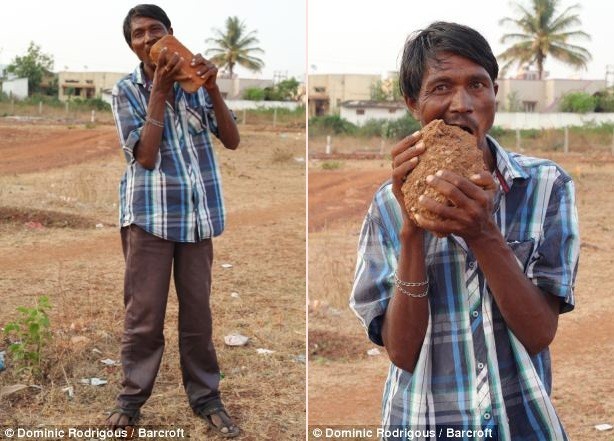 Hai hung di nhan an 3kg bun dat moi ngay, nhai gach nhu bim bim-Hinh-3