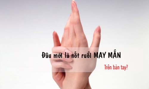 Not ruoi tren ban tay mang lai tuong lai giau sang, phu quy