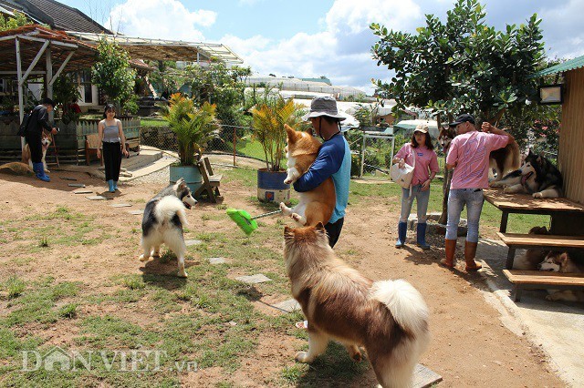 Tham quan trang trai cho quy hang ty dong cua 9x Da Lat