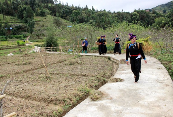 Thom nuc com nep mua thu o noi cao 1.500m dat Bac Ha-Hinh-3