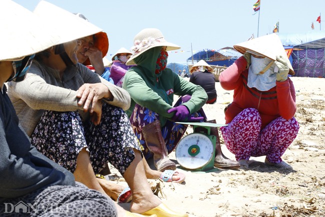 Thu phu ca ngu dai duong tai Phu Yen-Hinh-7