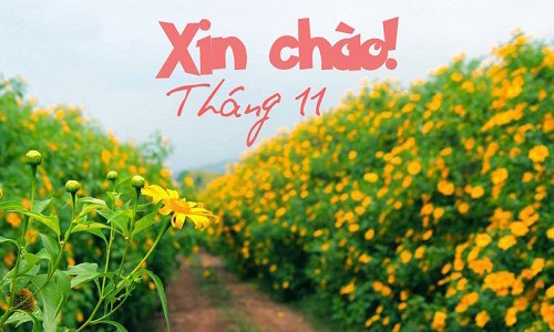 Tu vi thang 11/2018 chuan nhat cua 12 con giap