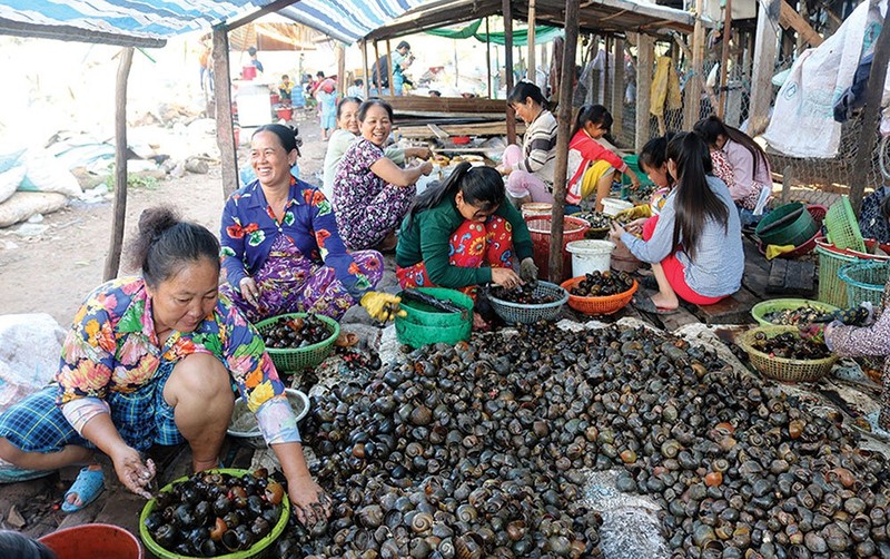 Mua nuoc noi: Cho am ap san vat, ngoi le oc, mo ca cung co tien