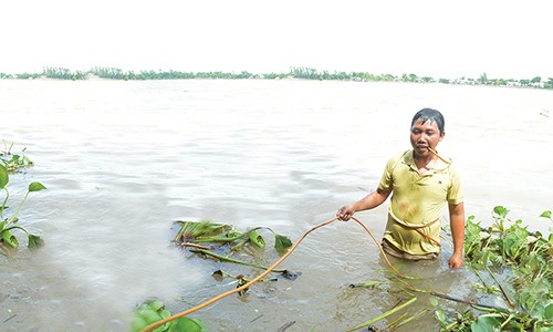 Ky bi nghe 