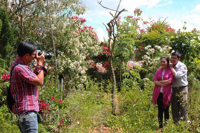 Da quy ra hoa trang tinh khoi dep doc nhat o xu so suong mu-Hinh-7