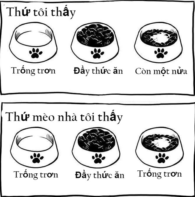 8 noi kho chi nguoi nuoi meo moi hieu-Hinh-8