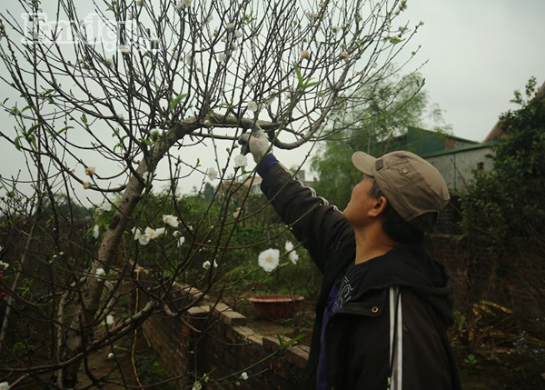 Bach dao hiem co o Nhat Tan chay hang dip Tet nguyen dan-Hinh-6