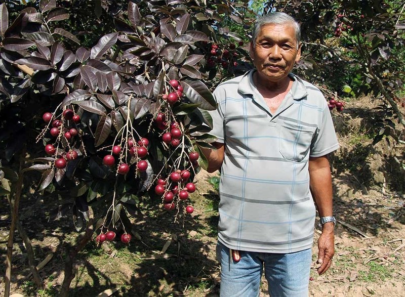 Lao nong tu choi ban nhan tim cho khach Trung Quoc