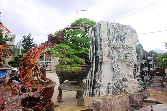 Bonsai co thu dang cuc la gia ca tram trieu ngong 