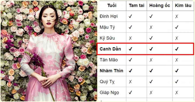 Chi dich danh nhung tuoi dai cat nen xay nha nam 2019