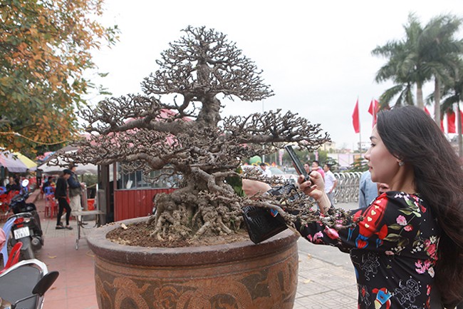 Ngam tuyet pham mai chieu thuy tien ty khien gioi choi cay cung phai tram tro-Hinh-9