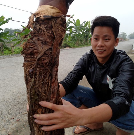 Xon xao di xem khom khoai mon nang gan 1 ta-Hinh-11