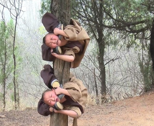 Tieu hoa thuong treo nguoi len cay de luyen kung-fu