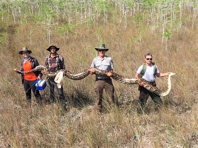 Bat duoc tran khong lo pha ky luc, co 73 trung trong bung