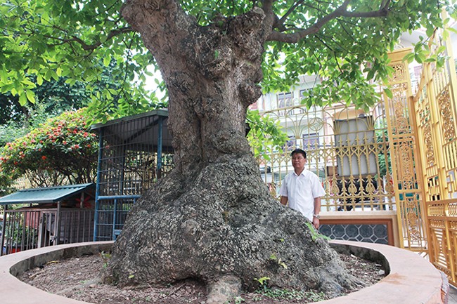 “Cu” loc vung “tich tu phat loc” tra 8 ty khong ban-Hinh-2