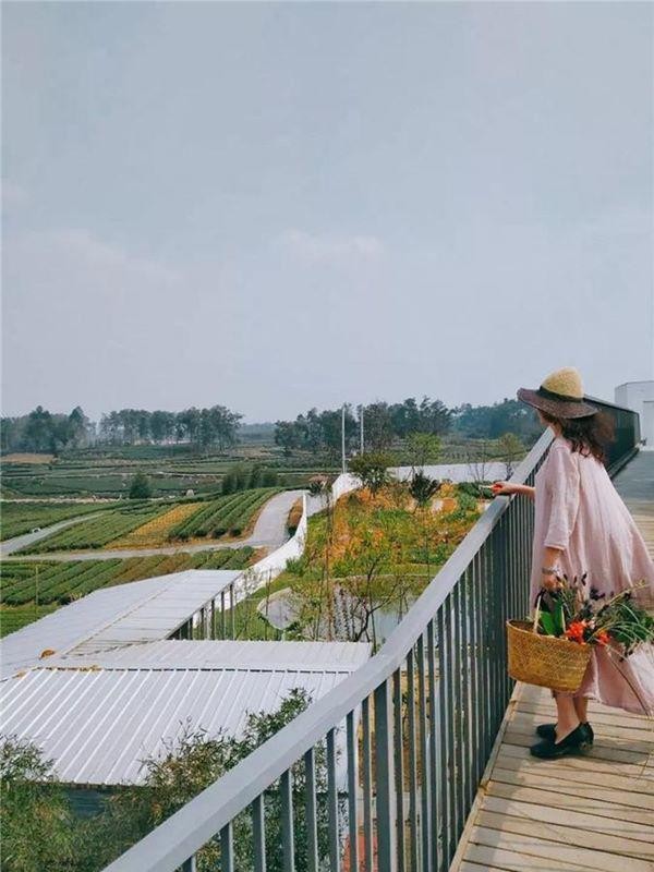 Bo viec ve que trong hoa, nu giam doc khien moi nguoi bat ngo voi thanh qua-Hinh-2