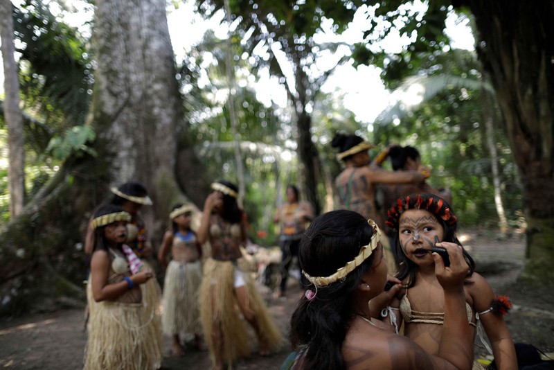 Bo lac Brazil nhay mua, cau nguyen de rung Amazon het chay-Hinh-11