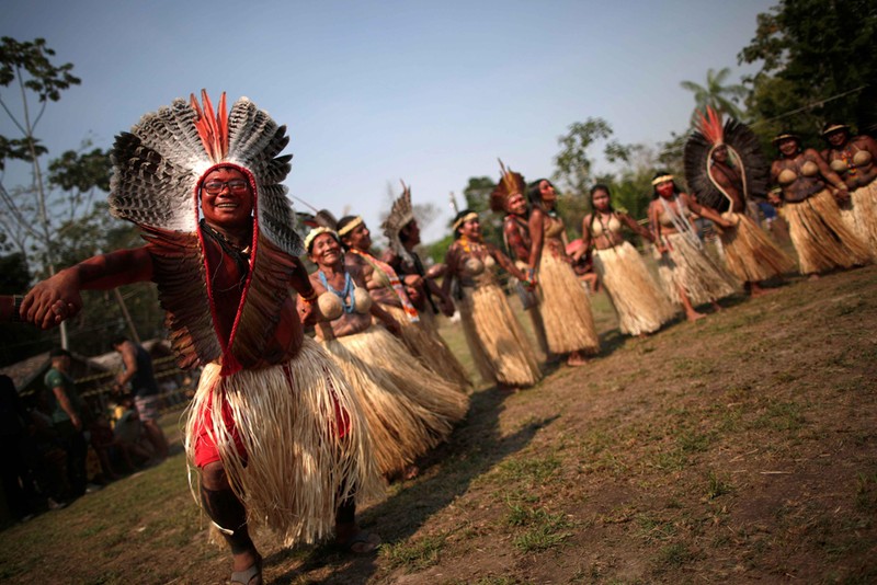 Bo lac Brazil nhay mua, cau nguyen de rung Amazon het chay-Hinh-2