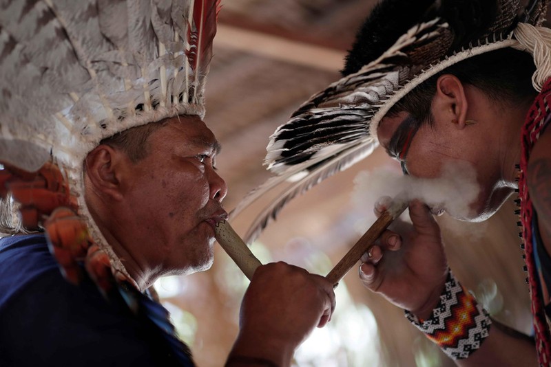 Bo lac Brazil nhay mua, cau nguyen de rung Amazon het chay-Hinh-9