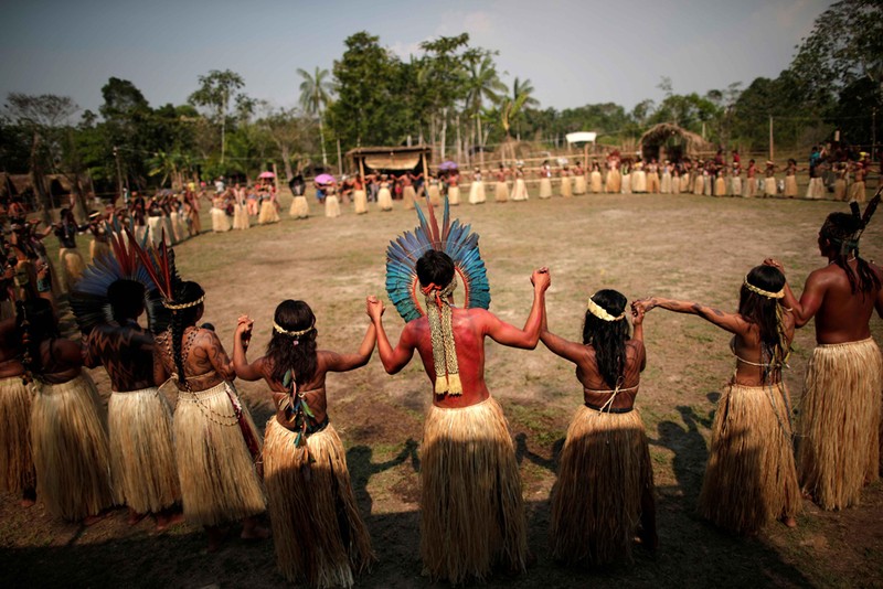 Bo lac Brazil nhay mua, cau nguyen de rung Amazon het chay