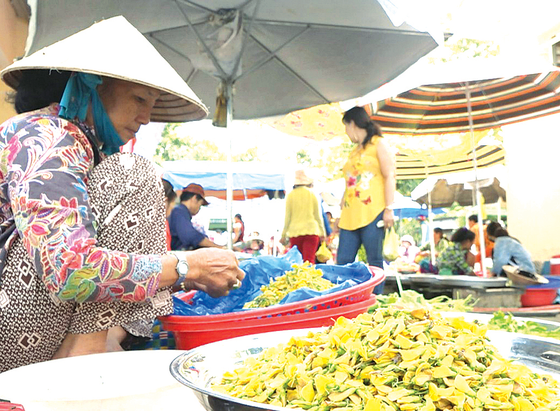 Mien Tay don lu: Kiem 600.000/ngay tu chuot dong, ca linh, bong sung-Hinh-5