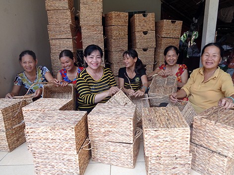 Chuyen la Hau Giang: Dan bo rau nhut quay ra trong... beo dai-Hinh-2