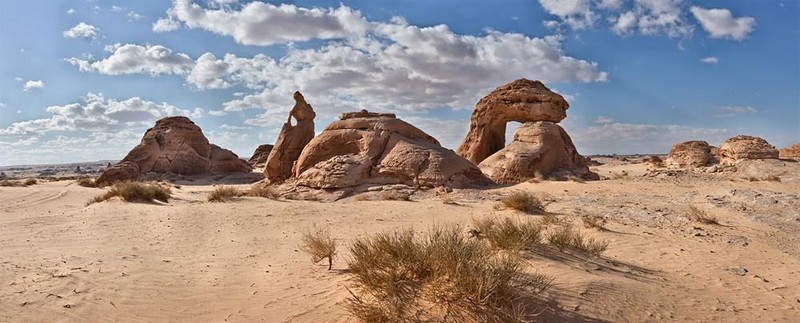 Vet cat bi an chia doi khoi da van nam tuoi o Arab Saudi