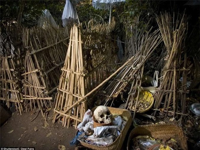 Kinh di tuc phoi xac nguoi chet trong long tre de tu phan huy-Hinh-2