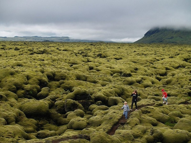 Lac den Mat Trang tren canh dong dung nham reu phu Iceland-Hinh-3