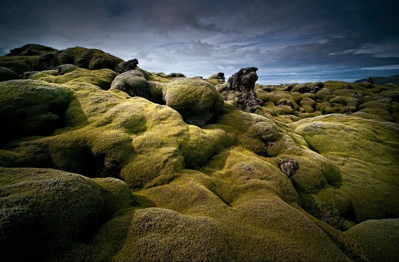 Lac den Mat Trang tren canh dong dung nham reu phu Iceland-Hinh-4