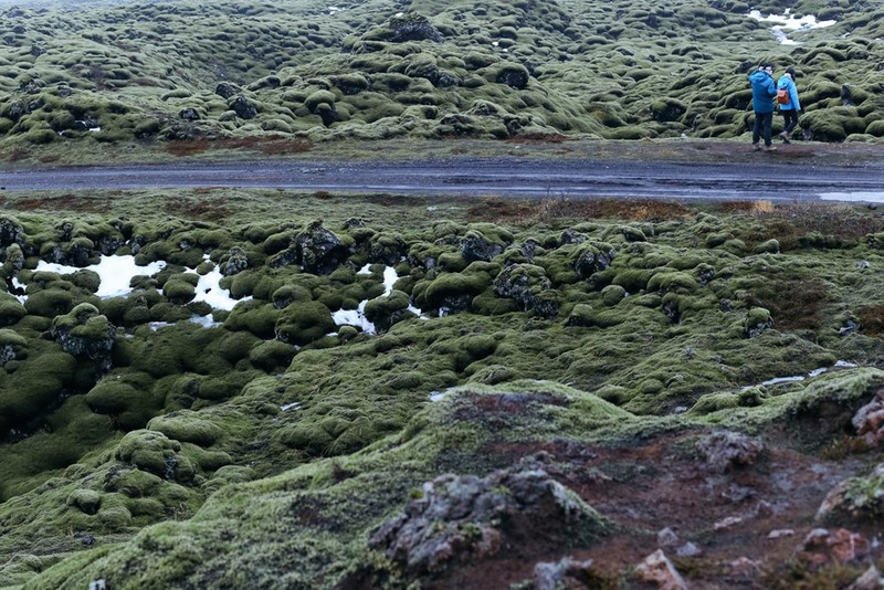 Lac den Mat Trang tren canh dong dung nham reu phu Iceland-Hinh-7