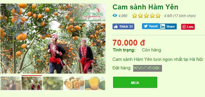 Cam sanh loan gia, co noi ban gan tram nghin/kg-Hinh-3